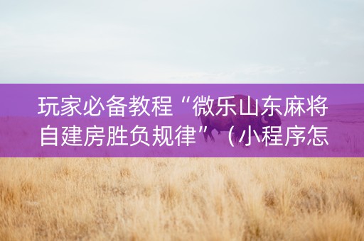 玩家必备教程“微乐山东麻将自建房胜负规律”（小程序怎么才会赢)