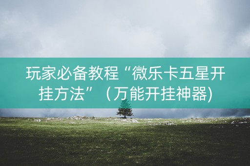 玩家必备教程“微乐卡五星开挂方法”（万能开挂神器)