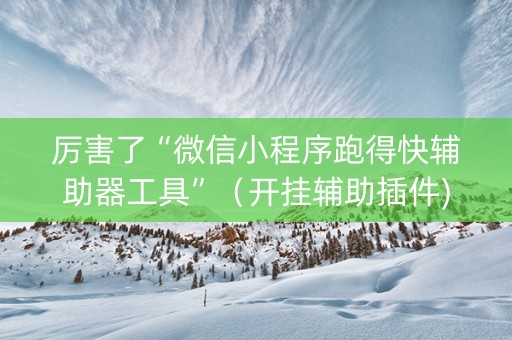 厉害了“微信小程序跑得快辅助器工具”（开挂辅助插件)