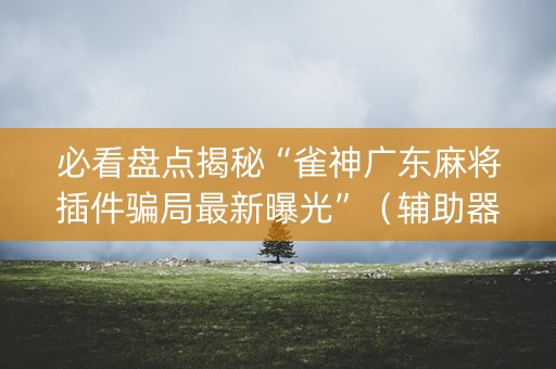 必看盘点揭秘“雀神广东麻将插件骗局最新曝光”（辅助器插件)