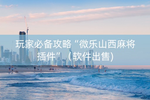 玩家必备攻略“微乐山西麻将插件”（软件出售)