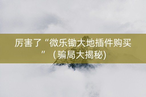 厉害了“微乐锄大地插件购买”（骗局大揭秘)