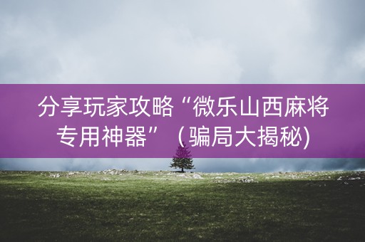 分享玩家攻略“微乐山西麻将专用神器”（骗局大揭秘)