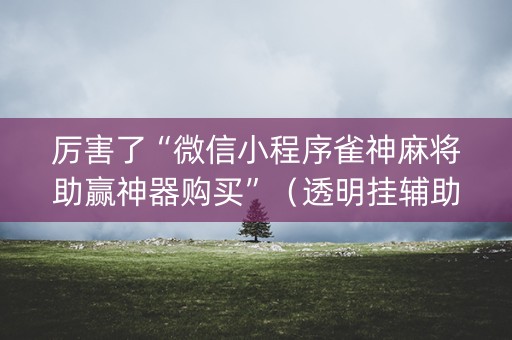 厉害了“微信小程序雀神麻将助赢神器购买”（透明挂辅助器)