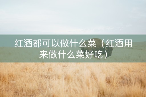 红酒都可以做什么菜（红酒用来做什么菜好吃）