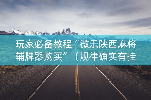 玩家必备教程“微乐陕西麻将辅牌器购买”（规律确实有挂)