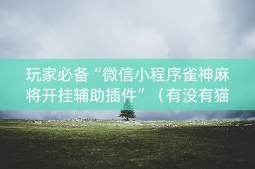 玩家必备“微信小程序雀神麻将开挂辅助插件”（有没有猫腻)