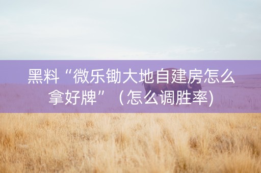 黑料“微乐锄大地自建房怎么拿好牌”（怎么调胜率)