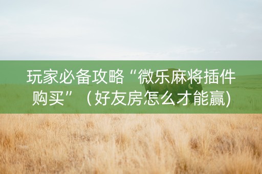 玩家必备攻略“微乐麻将插件购买”（好友房怎么才能赢)