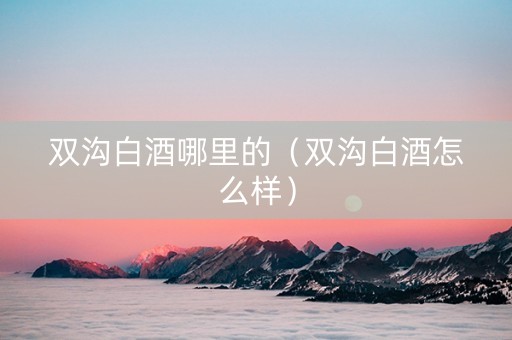 双沟白酒哪里的（双沟白酒怎么样）