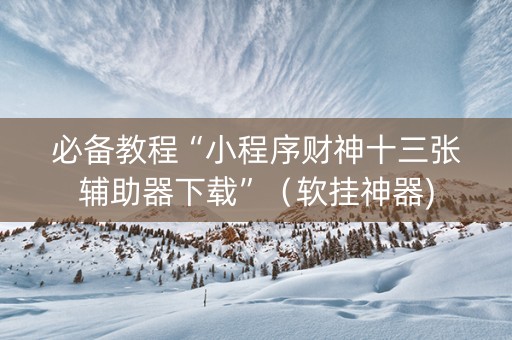 必备教程“小程序财神十三张辅助器下载”（软挂神器)