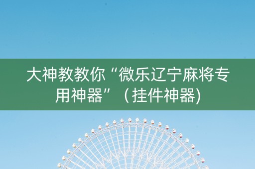 大神教教你“微乐辽宁麻将专用神器”（挂件神器)