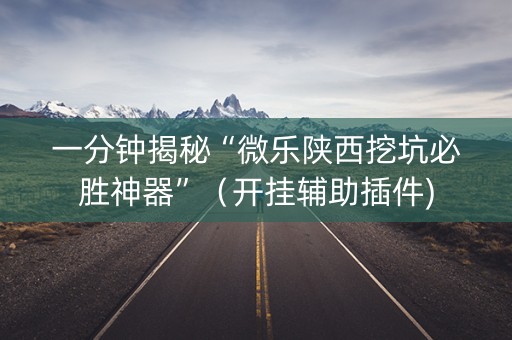 一分钟揭秘“微乐陕西挖坑必胜神器”（开挂辅助插件)
