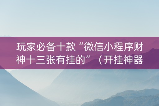 玩家必备十款“微信小程序财神十三张有挂的”（开挂神器下载)