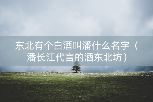 东北有个白酒叫潘什么名字（潘长江代言的酒东北坊）