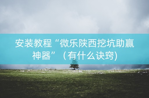 安装教程“微乐陕西挖坑助赢神器”（有什么诀窍)