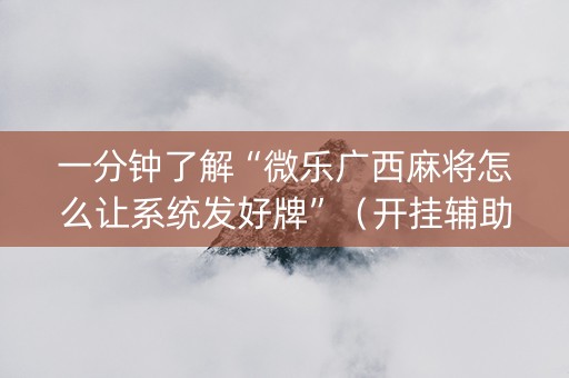 一分钟了解“微乐广西麻将怎么让系统发好牌”（开挂辅助器脚本)
