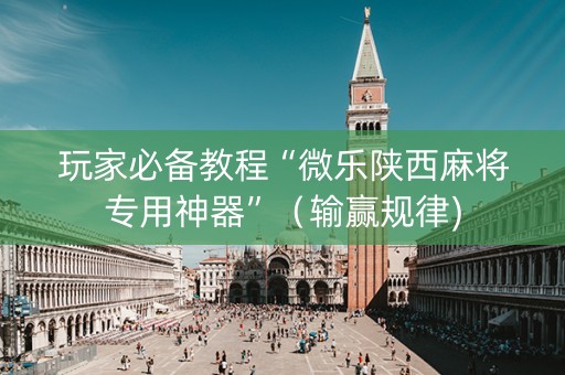 玩家必备教程“微乐陕西麻将专用神器”（输赢规律)