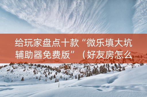 给玩家盘点十款“微乐填大坑辅助器免费版”（好友房怎么才能赢)