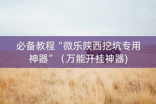 必备教程“微乐陕西挖坑专用神器”（万能开挂神器)