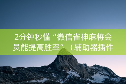 2分钟秒懂“微信雀神麻将会员能提高胜率”（辅助器插件)