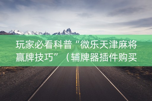 玩家必看科普“微乐天津麻将赢牌技巧”（辅牌器插件购买)