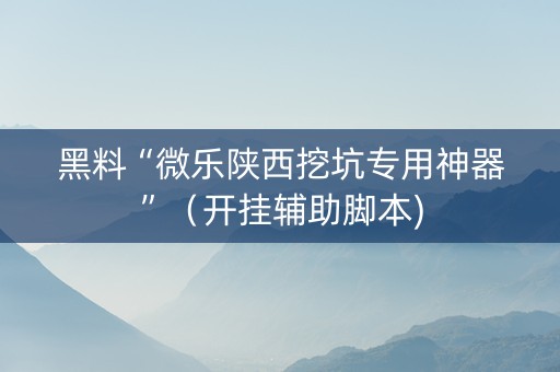 黑料“微乐陕西挖坑专用神器”（开挂辅助脚本)