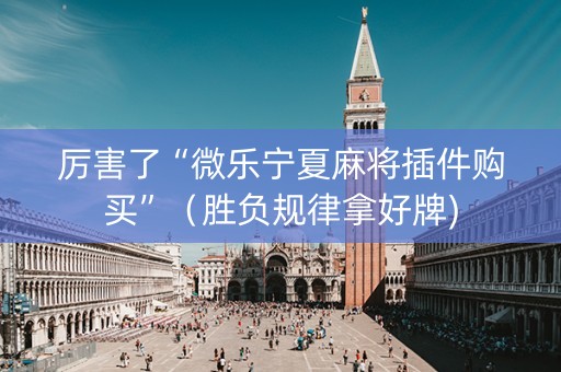 厉害了“微乐宁夏麻将插件购买”（胜负规律拿好牌)