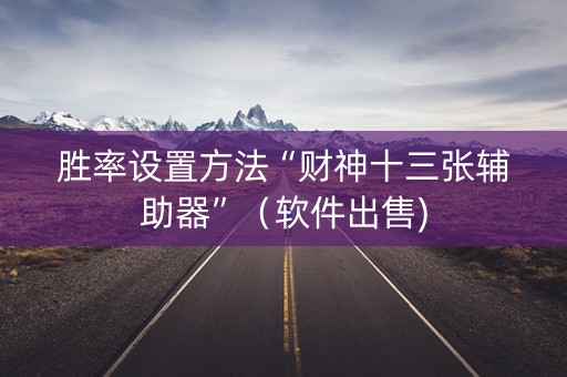 胜率设置方法“财神十三张辅助器”（软件出售)