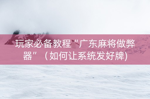 玩家必备教程“广东麻将做弊器”（如何让系统发好牌)