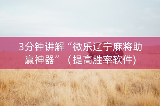 3分钟讲解“微乐辽宁麻将助赢神器”（提高胜率软件)