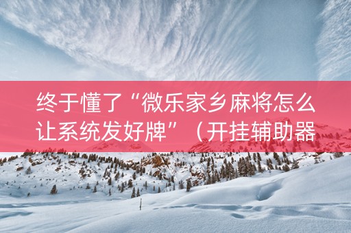 终于懂了“微乐家乡麻将怎么让系统发好牌”（开挂辅助器插件)