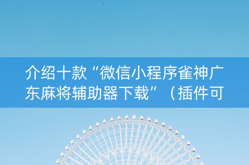 介绍十款“微信小程序雀神广东麻将辅助器下载”（插件可信吗)