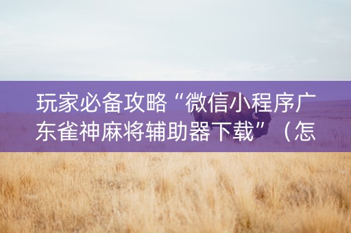 玩家必备攻略“微信小程序广东雀神麻将辅助器下载”（怎么设置才能赢)