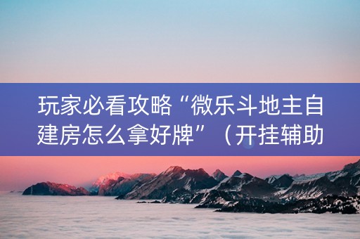 玩家必看攻略“微乐斗地主自建房怎么拿好牌”（开挂辅助器插件)