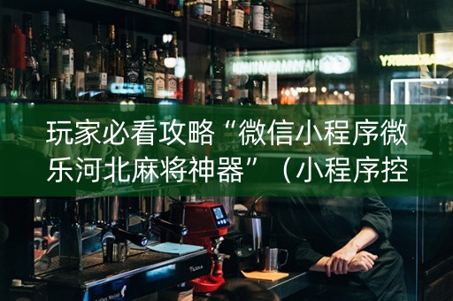 玩家必看攻略“微信小程序微乐河北麻将神器”（小程序控牌器)