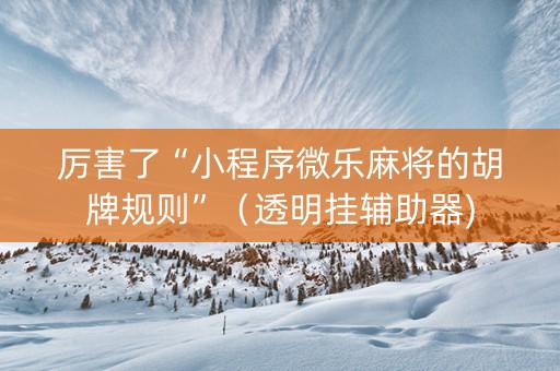 厉害了“小程序微乐麻将的胡牌规则”（透明挂辅助器)