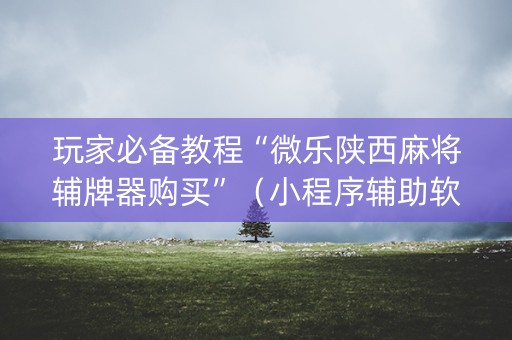 玩家必备教程“微乐陕西麻将辅牌器购买”（小程序辅助软件)