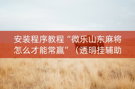 安装程序教程“微乐山东麻将怎么才能常赢”（透明挂辅助器)