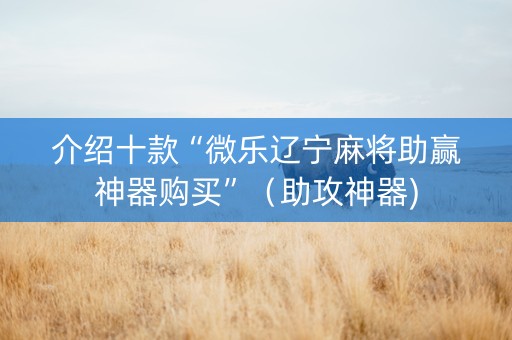 介绍十款“微乐辽宁麻将助赢神器购买”（助攻神器)