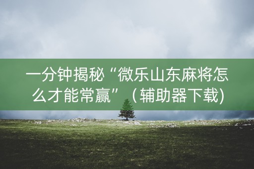 一分钟揭秘“微乐山东麻将怎么才能常赢”（辅助器下载)