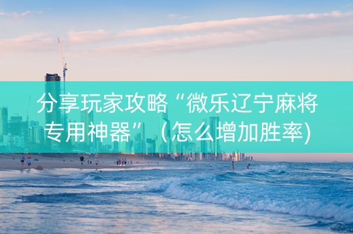 分享玩家攻略“微乐辽宁麻将专用神器”（怎么增加胜率)