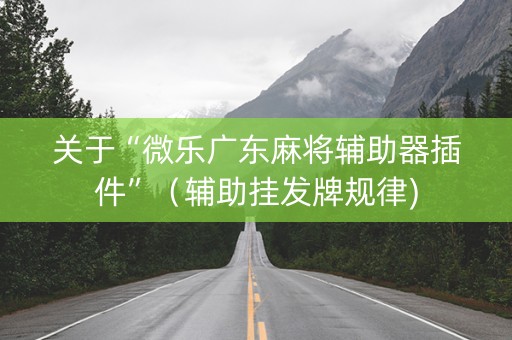 关于“微乐广东麻将辅助器插件”（辅助挂发牌规律)