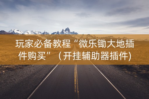 玩家必备教程“微乐锄大地插件购买”（开挂辅助器插件)