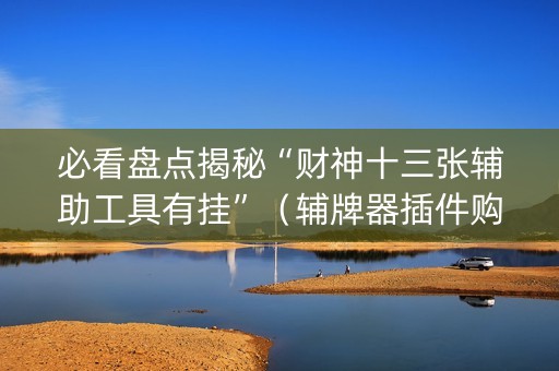 必看盘点揭秘“财神十三张辅助工具有挂”（辅牌器插件购买)