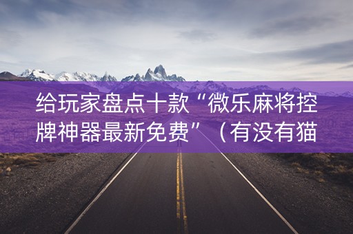 给玩家盘点十款“微乐麻将控牌神器最新免费”（有没有猫腻)