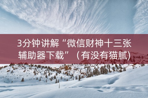 3分钟讲解“微信财神十三张辅助器下载”（有没有猫腻)