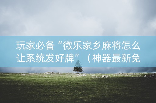 玩家必备“微乐家乡麻将怎么让系统发好牌”（神器最新免费)