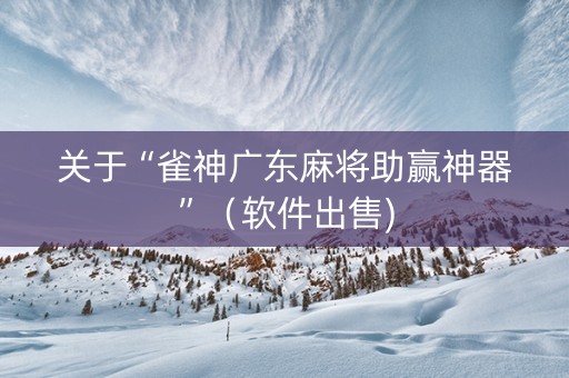 关于“雀神广东麻将助赢神器”（软件出售)