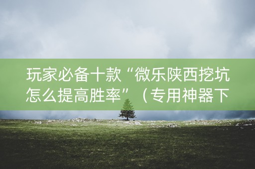 玩家必备十款“微乐陕西挖坑怎么提高胜率”（专用神器下载)